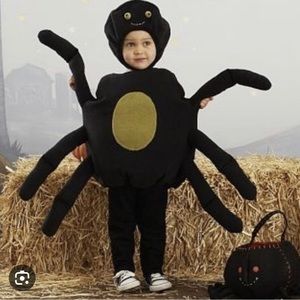 EUC Pottery Barn spider costume.
